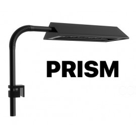 MICMOL PRISM WRGB