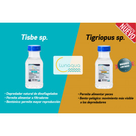 Copépodos Tigriopus 500 ml LUNAQUA