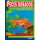 El nuevo libro de los peces dorados