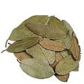 HOJAS DE GUAYABA 1 hoja