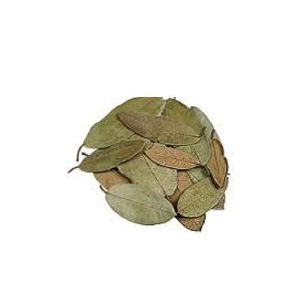 HOJAS DE GUAYABA 1 hoja