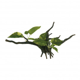 Tronco con plantas de ICA M1 34 cm