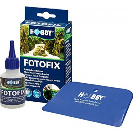 Fotofix pegamento 50 ml (30991)