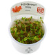 Rotala macrandra 1-2-Grow! tropica