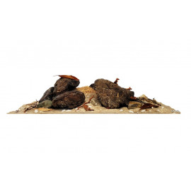 NAUTILUS DARK Decor Kit Wio (20Kg.)