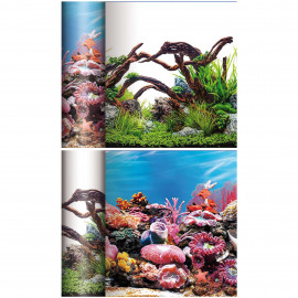 Fondo acuario 50 cm (FN2850)