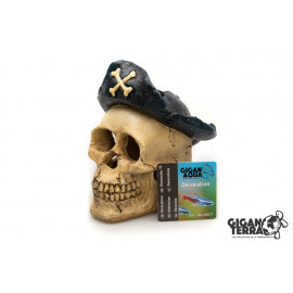 Calavera pirata sombrero g04-00577