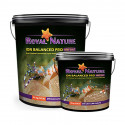 SAL ROYAL NATURE "ION BALANCED" 23 KG. CUBO