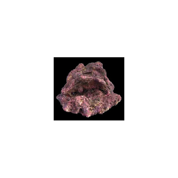 EcoReef Rock 1258 - 22x15x14cm