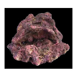 EcoReef Rock 1258 - 22x15x14cm