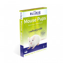 Raton Pinky Congelado blister 1-2 g 12 uni. Mus Musculus