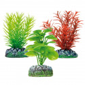 Set de 3 plantas Limnofila Lobelia