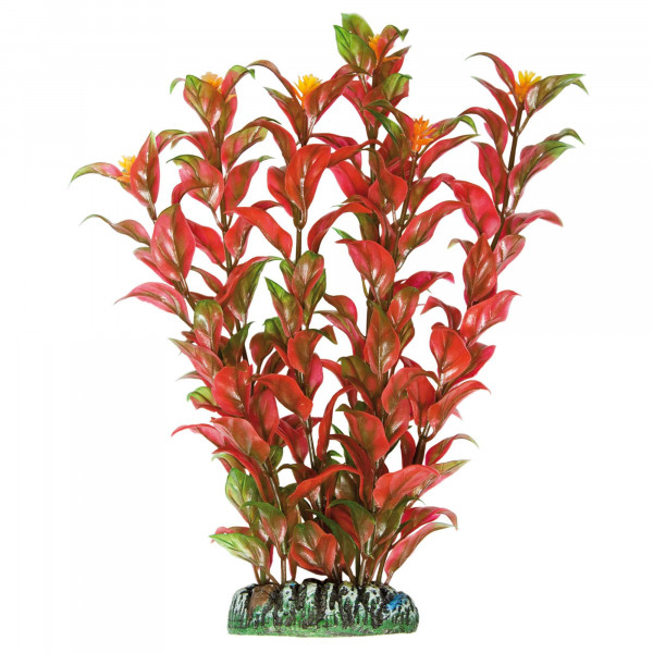 Alternanthera de AQUATIC PLANTS (PLÁSTICO) (22 cm)