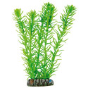 Egeria de AQUATIC PLANTS (PLÁSTICO) (20 cm)