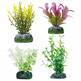 Set Fucus, Alternanthera y Ludwigia verde y lila AQUATIC PLANTS