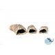Cueva Piedra S