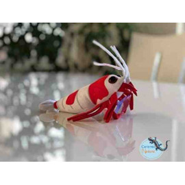 Cristal Shrimp plush Peluix