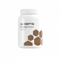 XEPTA PO4-OUT RESIN 1 KG