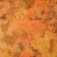 ALGAE WAFERS 75G