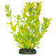 Planta plàstic Higròfila Poliesperma 20 cm