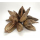SOROROCA 9-14 CM
