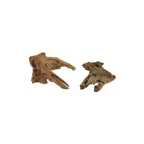 40643 MANGROVE WOOD L 35-50 CM