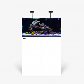 waterbox AIO 50.3