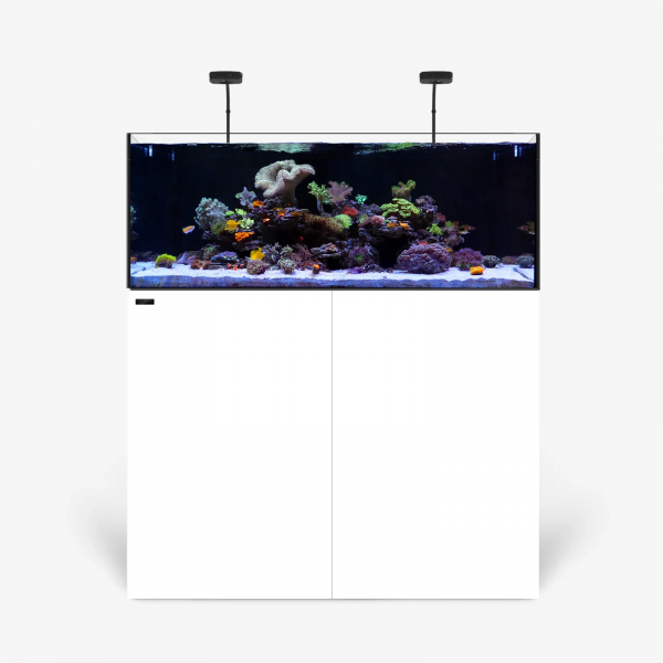 waterbox AIO 50.3