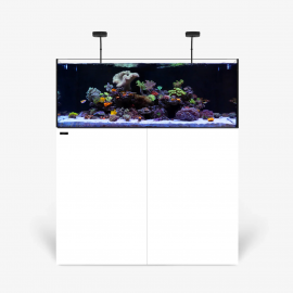 waterbox AIO 50.3