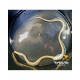 Morena Fantasma Ghost eel Pseudechidna brummeri