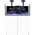 waterbox infinia reef 150.4