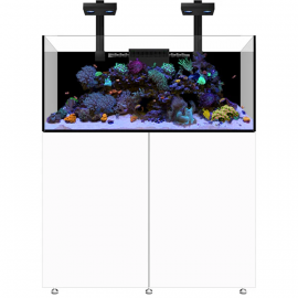 waterbox infinia reef 150.4