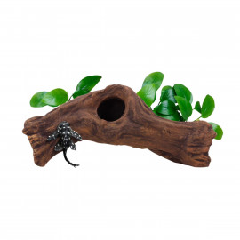 Cueva Cerámica Modelo B1 Aquavitro