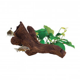cueva ceramica modelo b2 aquavitro