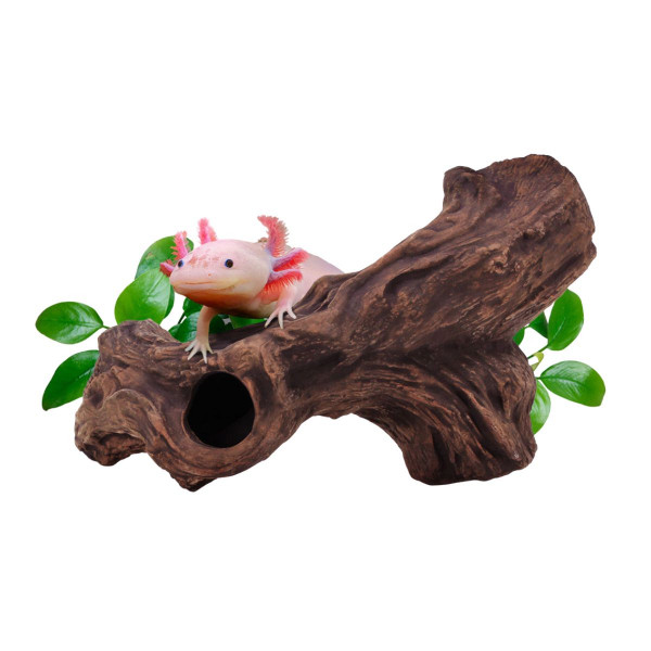 cueva ceramica modelo b3 aquavitro