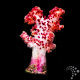 Dendronephthya spp.