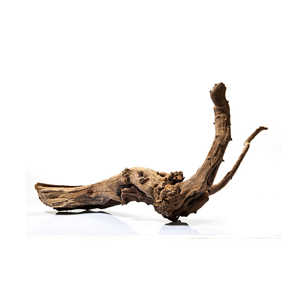 Hobby 40641 MANGROVE WOOD S 15-25 cm aprox