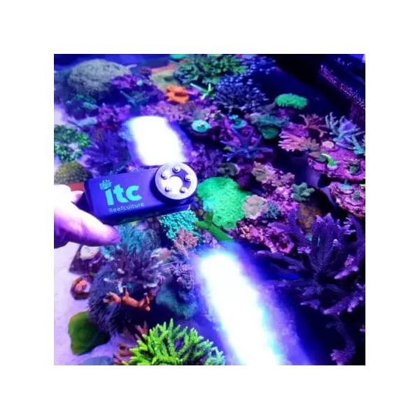 Lloguer ITC PARwise Només disponible en botiga física