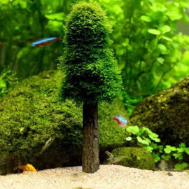 ARBOL PEQUEÑO PARA MUSGO (TREE)