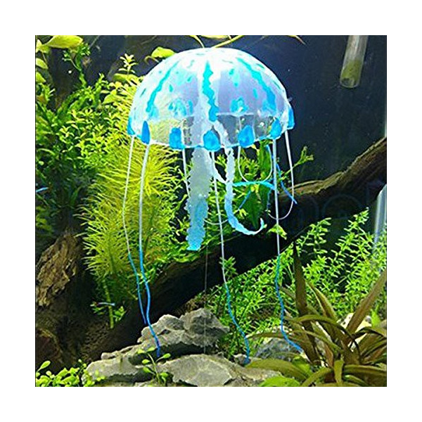 JELLYFISH MEDUSA CAJA