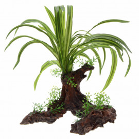 PLANTA INCLINADA CON TRONCO