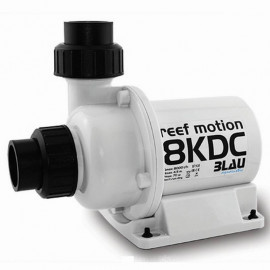 REEF MOTION 8KDC