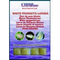 LARVA DE MOSQUITO BLANCA GLASSWORM 100G