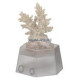 Coral Holder Aquamedic