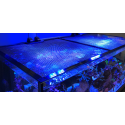 D-D Jumpguard DIY aquarium cover (120x75cm)