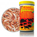 GAMMARUS 250 ML (10324)