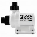 Reef Motion 4KDC