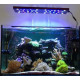 AquaOcean Evergrow IT5060 de 64cm a 98cm