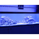 AquaOcean Evergrow IT5012 de 124cm a 160cm