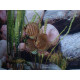 Disco Turquesa Brillante Stendker 6-7cm